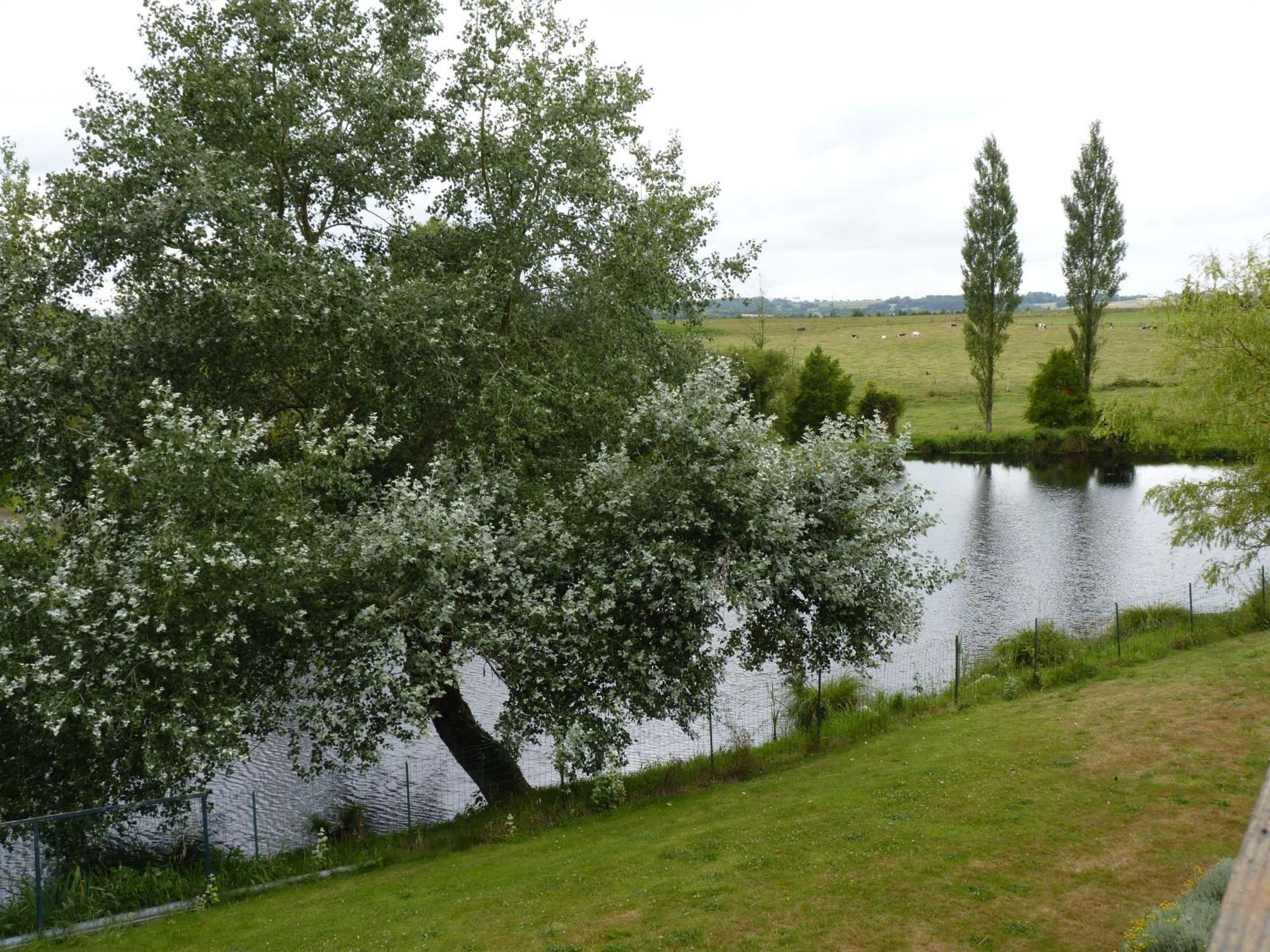 Gites De La Haie Plouégat-Moysan Exterior foto